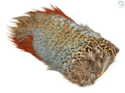 Chinese Ringneck Pheasant Rump Patch
